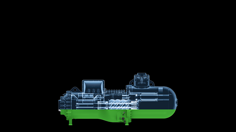 X-Ray view of screw compressor